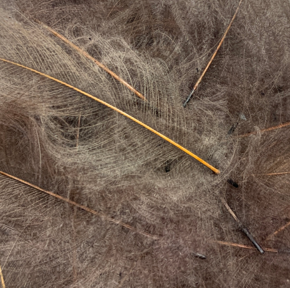 SWISS CDC Ultra Select XL